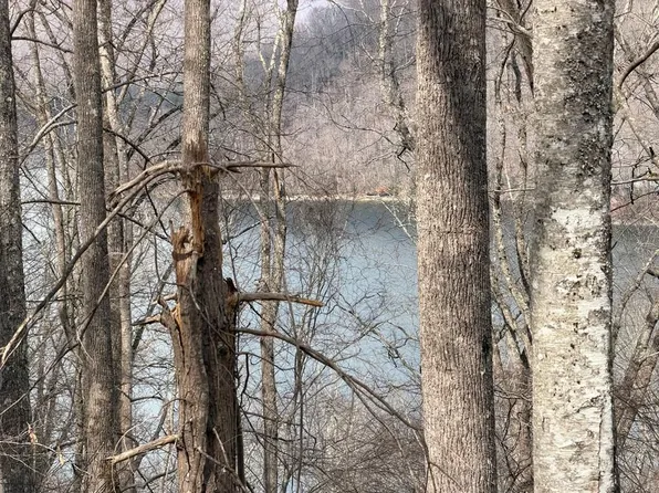 12 Lake Vista Cir, Topton, NC 28781