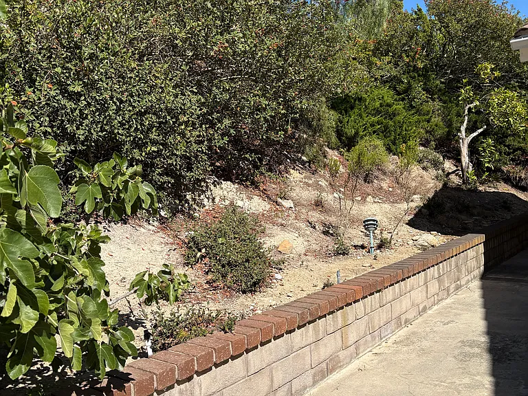 31016 Hawksmoor Dr — Photo 27
