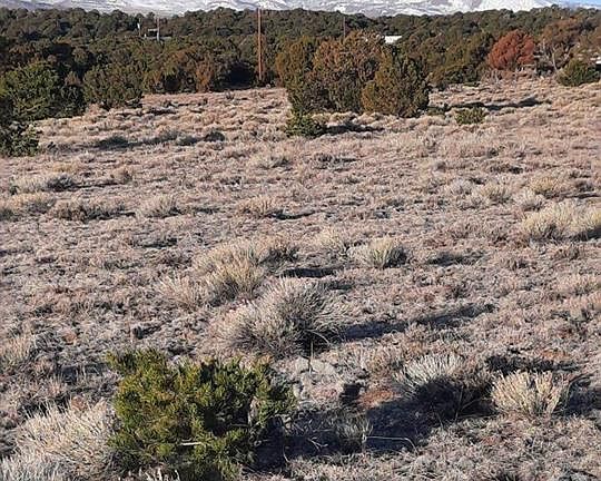 3rd image of 185 Black Hills #1