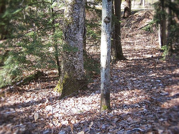 5th image of N Knollwood Dr #119