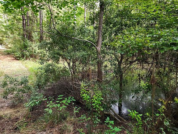 5th image of 216 Private Road 6046