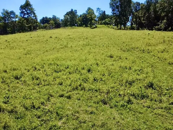 908 Earl Broady Rd, Evensville, TN 37332