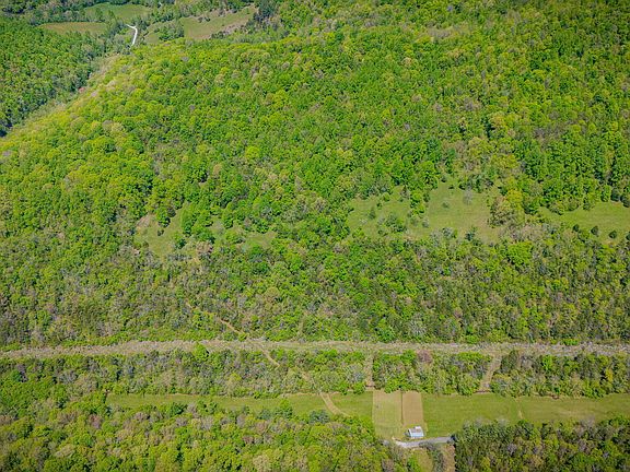 4th image of 5367 Clinch Mountain Rd