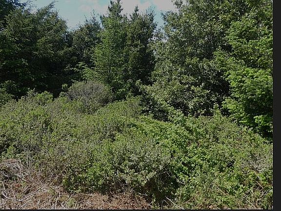 4th image of 227 Hillside Dr