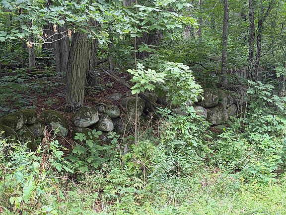 2nd image of 700 Taplin Hill Road