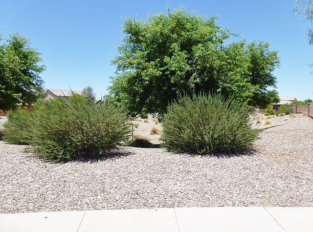 1st image of 4876 E Odessa Dr