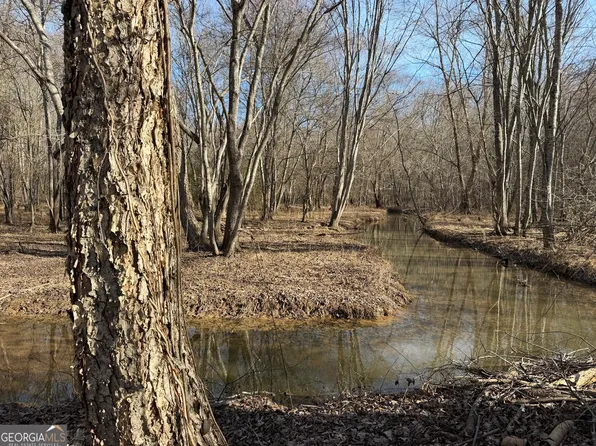 0 Neely Rd, Sharpsburg, GA 30277