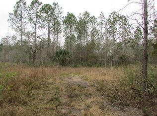10315 Erickson Ave, Hastings, FL 32145