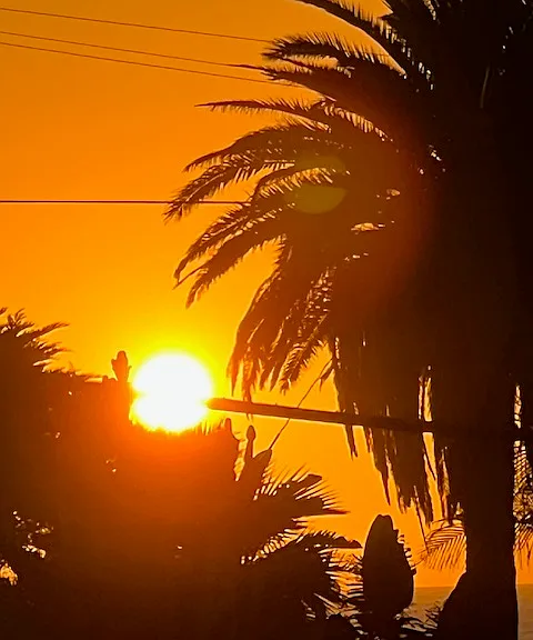 Enjoy the sunset over the ocean from your private balcony
