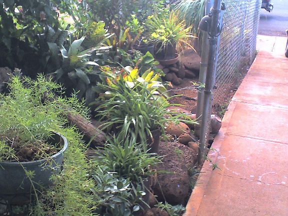 Looking out Front entrance