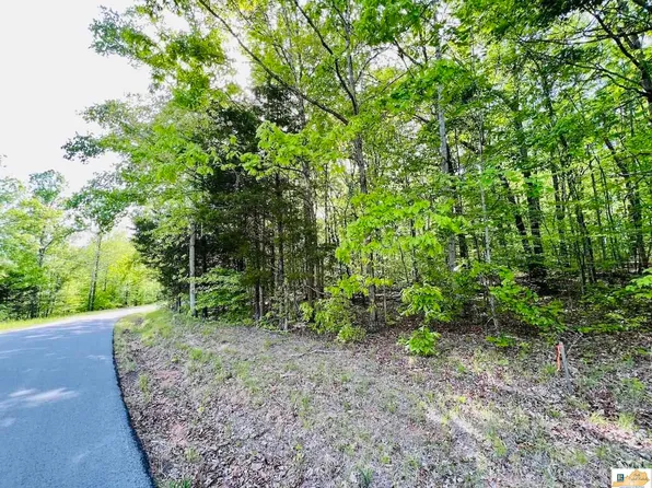 5D Pikes Ridge Rd, Campbellsville, KY 42718