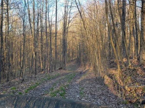 2822 Apple Tree Rd #27, Bolivar, NY 14715