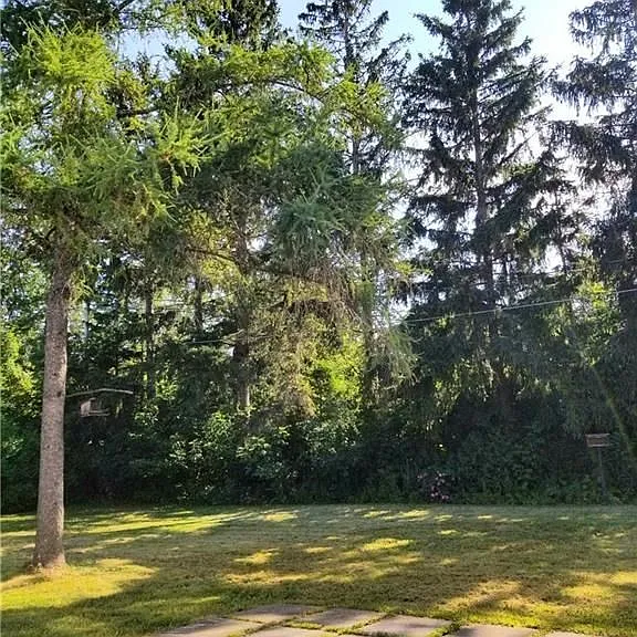 11 Roselyn Ct — Photo 20