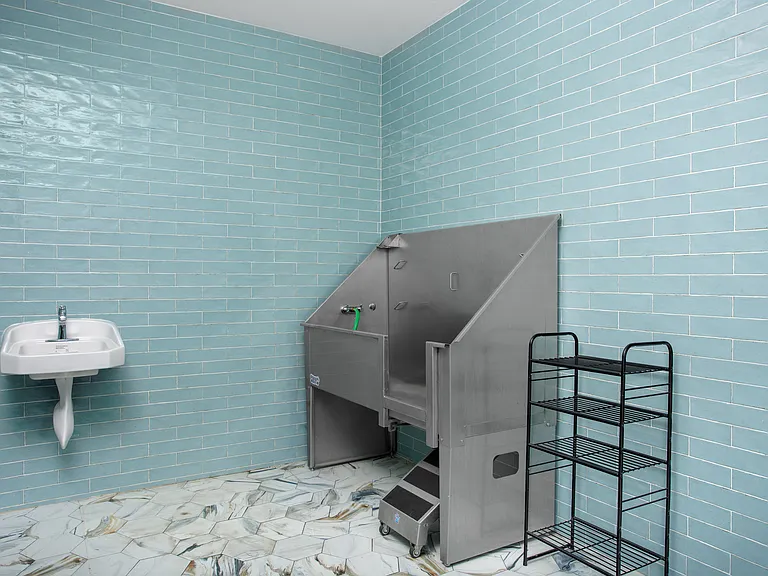 Keep your pup fresh and clean in our convenient dog spa.