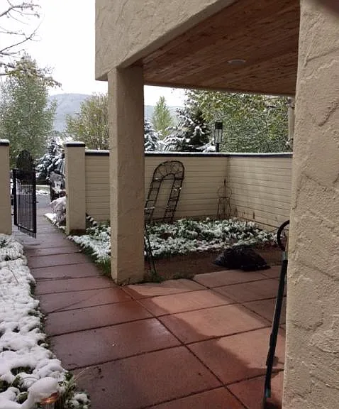 Winter view front patio/garden area