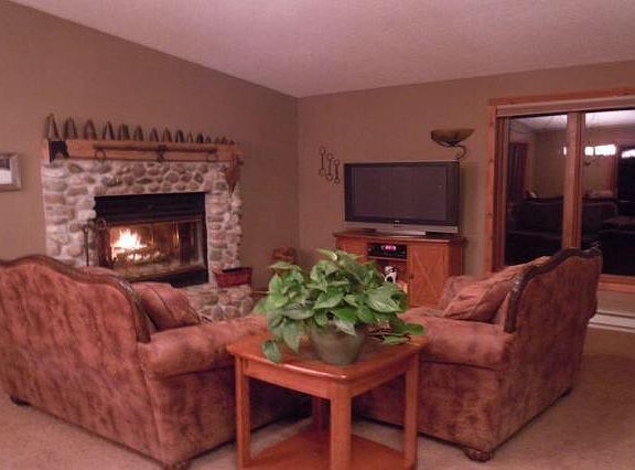 Wood burning fireplace