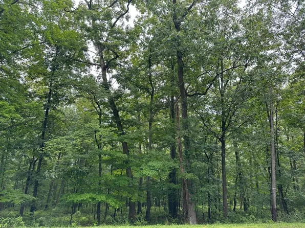 216 Mattison Reservoir Ave., Frankford Twp., NJ 07826