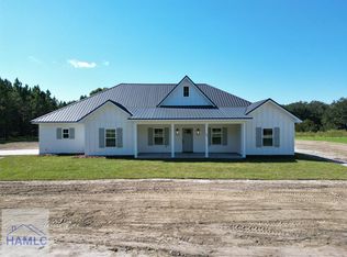 999 NE Darwell Long Rd, Ludowici, GA 31316
