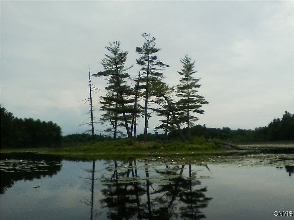 2nd image of Island In Grass #5
