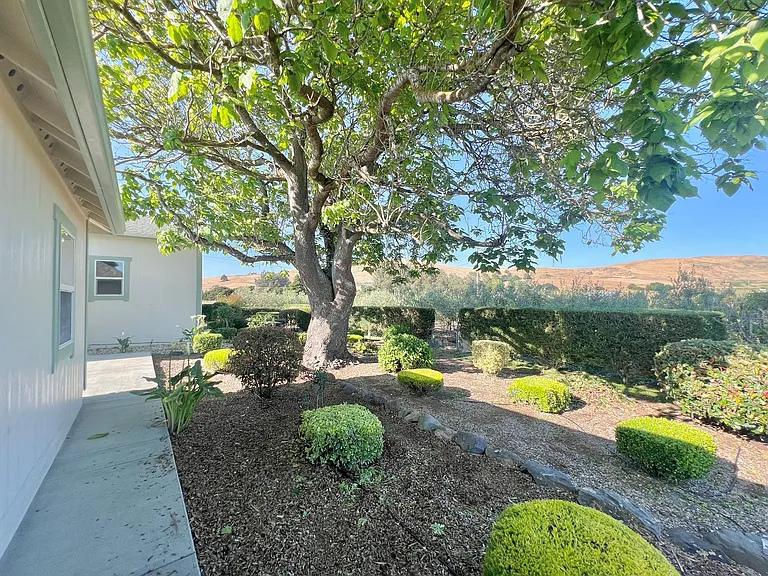 1515 Stony Point Rd — Photo 20