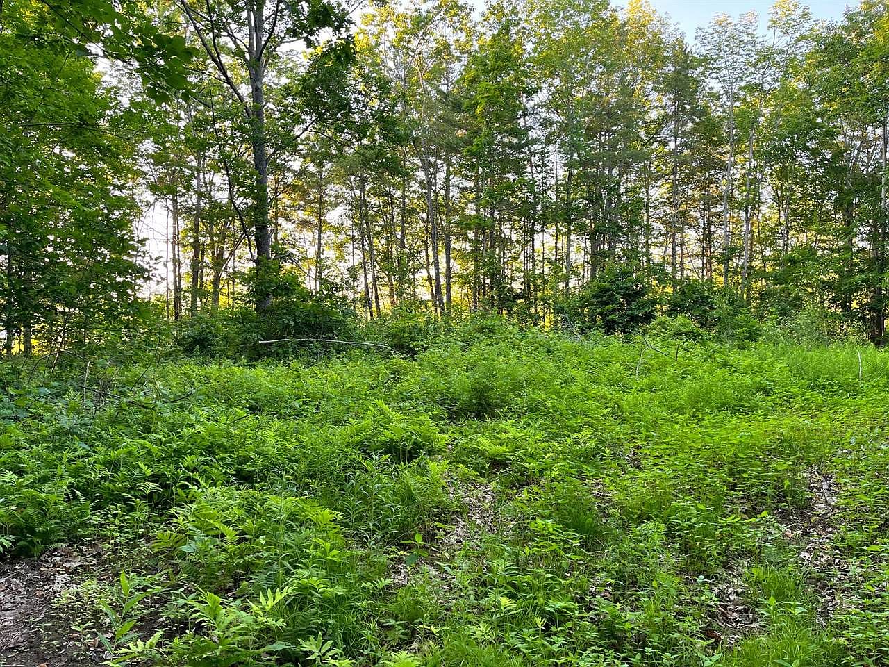 409 Clark Rd LOT 1, Kenduskeag, ME 04450 Zillow