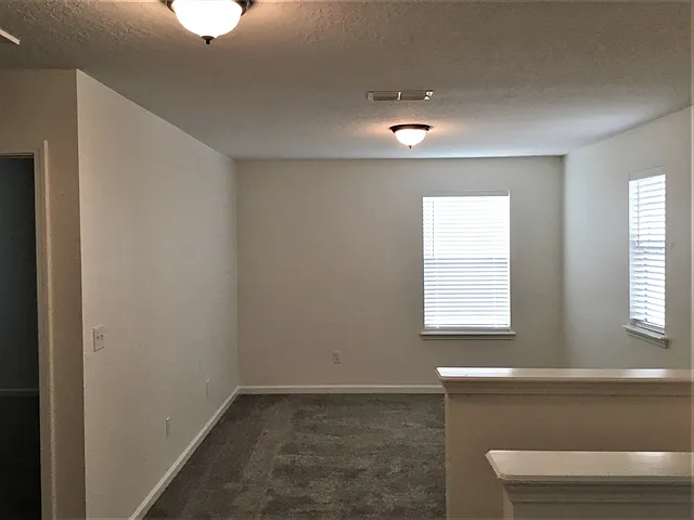 207 Buck Run Way — Photo 6