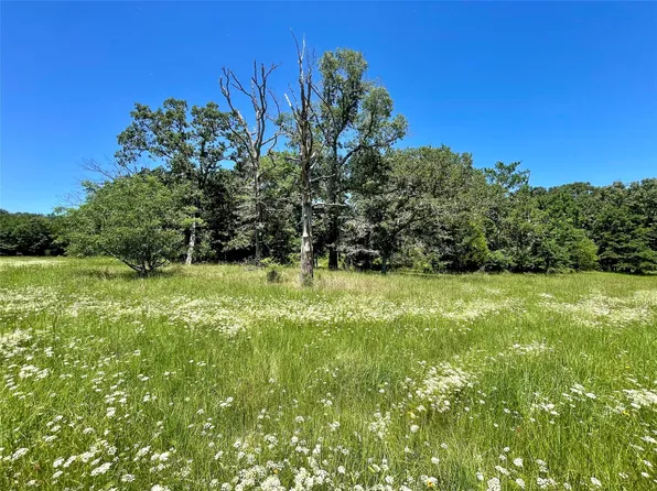 490 Vz County Road 4928 Tract #5, Ben Wheeler, TX 75754