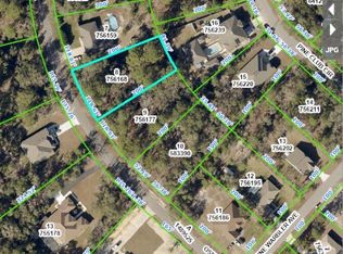 12103 Osprey Ave, Weeki Wachee, FL 34614