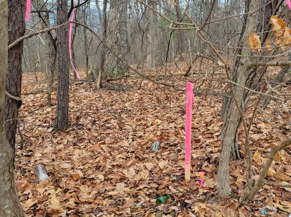 2A S Timber Ridge Rd, Cross Junction, VA 22625