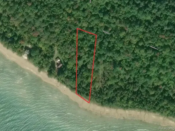 4511 Shore Rd, Moran, MI 49760