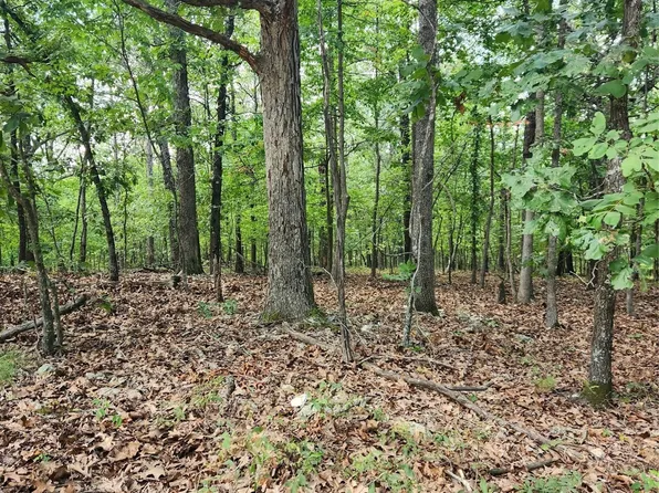 Brown Bear Trl, Kansas, OK 74347