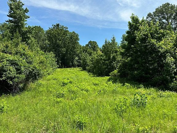 4th image of 0 Cahaba Rd