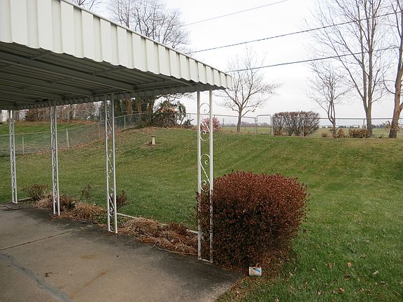 Cover Patio & Back Yark