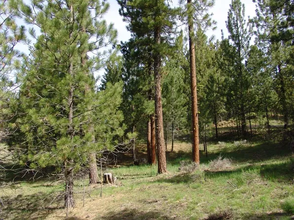 L6 & L7 Irish Dr, Cascade, ID 83611