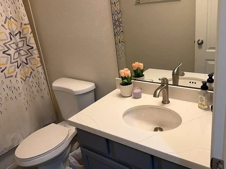 22 Wood Drake Pl — Photo 28
