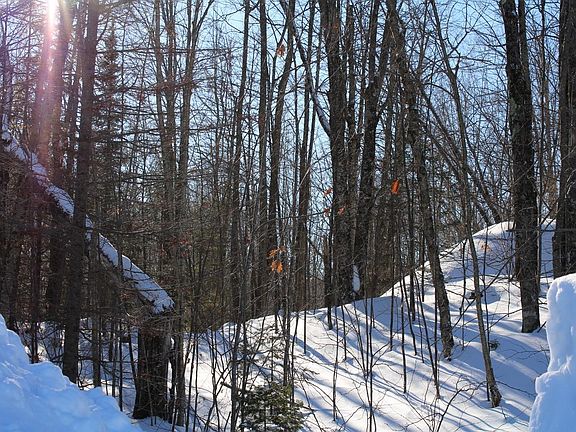 2nd image of LOT 35 Alpine Dr