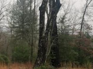 0 Sexton Loop Rd, Oakdale, TN 37829