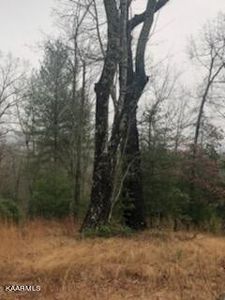 0 Sexton Loop Rd, Oakdale, TN, 37829