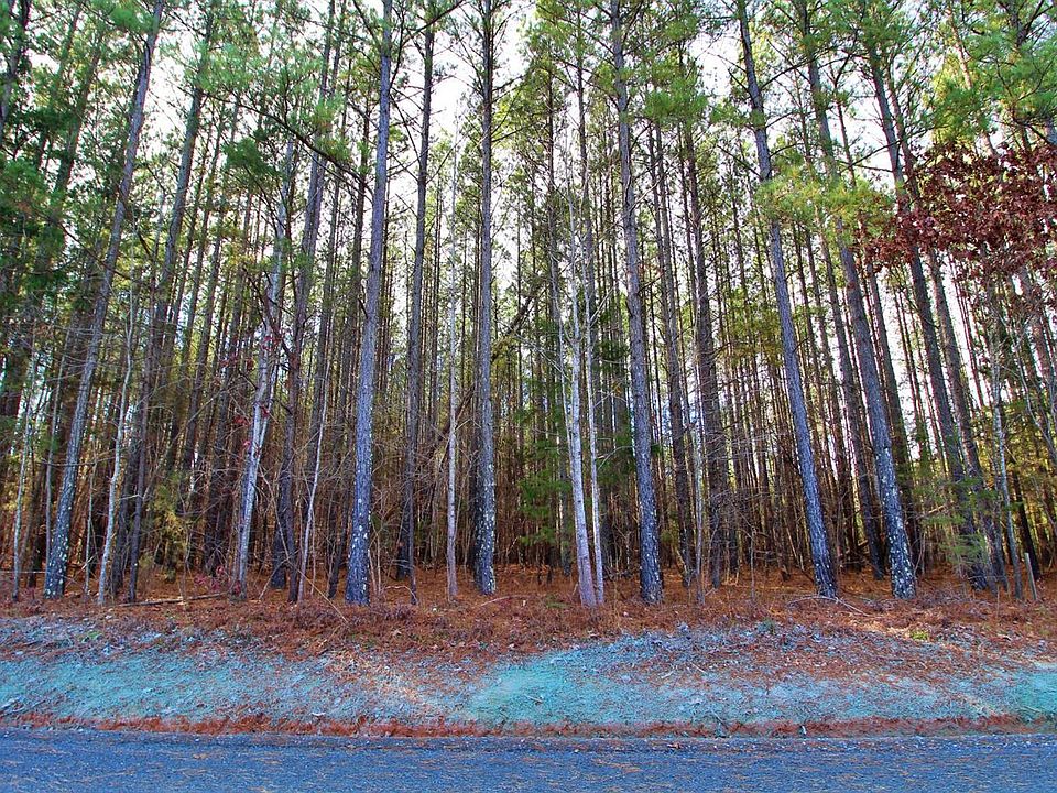 2nd image of 421 Cub Creek Rd Lot 5