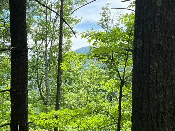 0 Gulf Rd, Hartford, TN 37753