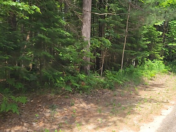 4th image of LOT 30 W Batterson Rd