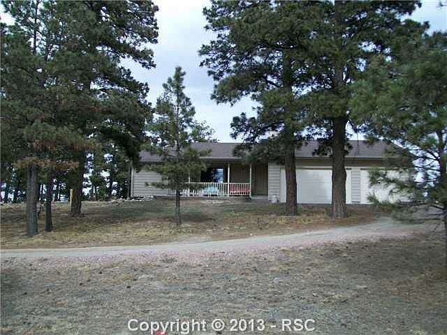 Rancher in the Trees