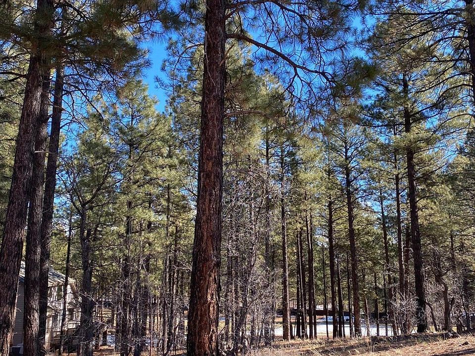 2nd image of 4120 S LARIAT LOT 80 Loop #80