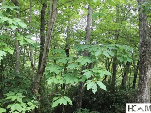16 Whitewater Ridge Road, Sapphire, NC 28774