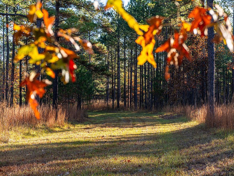 10th image of this home