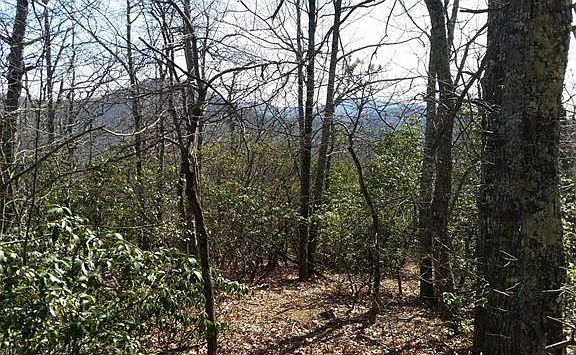 3rd image of 241 Miller Cove Rd #19
