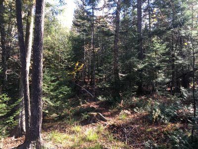 TBD Greeleys Landing Road, Dover Foxcroft, ME, 04426