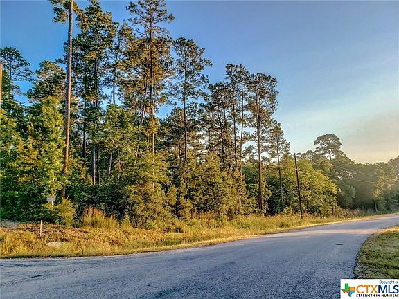 5th image of LOT 205 Single Shot Ct Lot 205