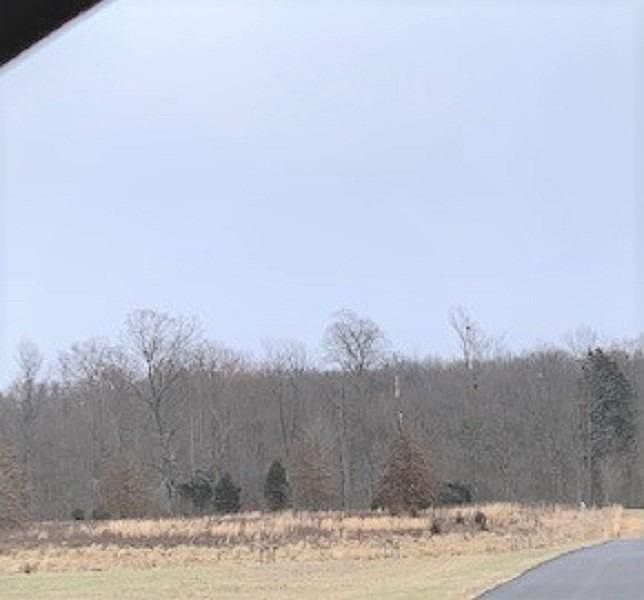2nd image of 2469 Hickory Dr