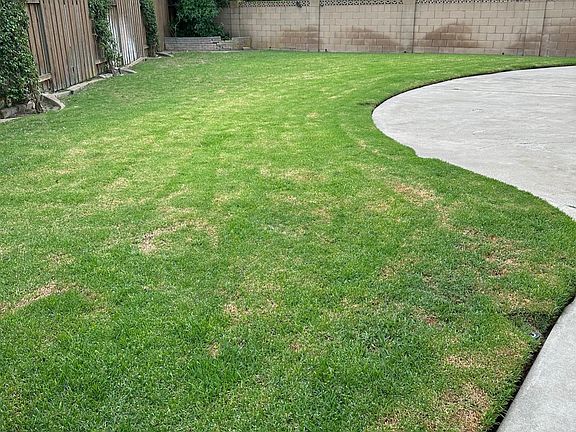 Huge dog-friendly yard